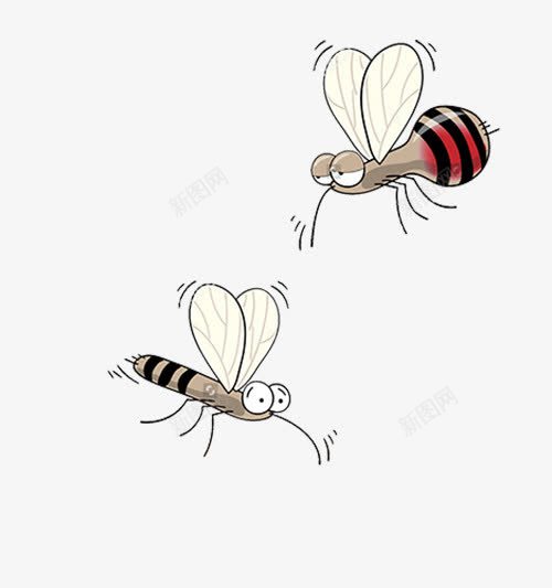 两只蚊子png免抠素材_新图网 https://ixintu.com 卡通 可爱蚊子 吸血 害虫 蚊虫 飞行