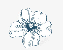 单色花朵手绘单色花朵素描高清图片