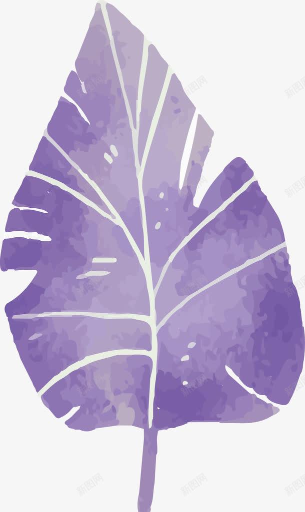 紫色水彩树叶png免抠素材_新图网 https://ixintu.com 一片叶子 叶子 水彩树叶 水彩植物 矢量png 紫色叶子