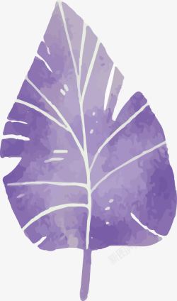 紫色水彩树叶素材
