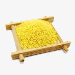 东北绿小米五谷杂粮系列小米黄米摄影高清图片