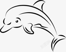 手绘海豚线描海豚高清图片