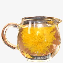 黄色茶水泡制在透明茶水壶中的大朵盛开的高清图片