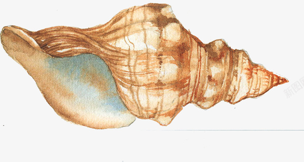 卡通装饰手绘海洋生物海报png免抠素材_新图网 https://ixintu.com 动物插画 卡通海洋生物 广告设计 手绘唯美海洋生物 旅游宣传册设计 海报设计 海螺