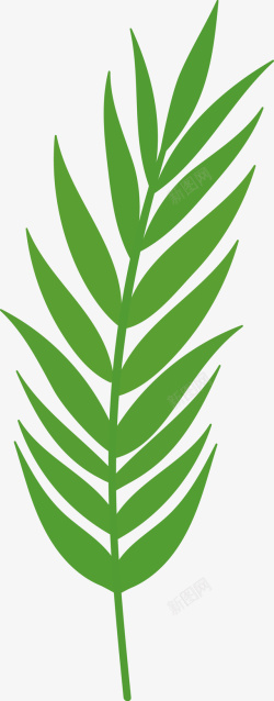 绿色棕榈叶图素材