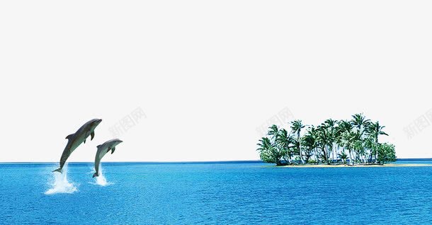 海洋海豚椰树png免抠素材_新图网 https://ixintu.com 大海 椰树 海洋 海豚 海边 背景