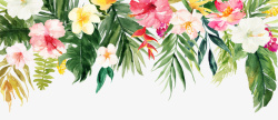 植物枝叶花朵角饰横向的花朵组合手绘高清图片