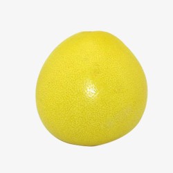 金色圆弧柚子素材
