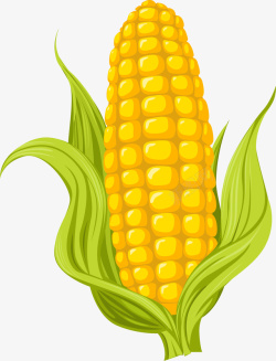 玉米叶子卡通黄色玉米高清图片