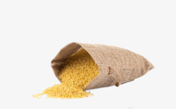 种子袋子设计灰色袋子里的黄色小米粒高清图片