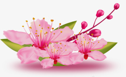 春天盛开彩绘装饰春天桃花花朵高清图片