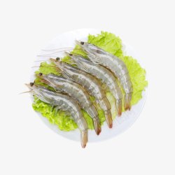 生白灼虾产品实物食物原料生菜冰虾高清图片