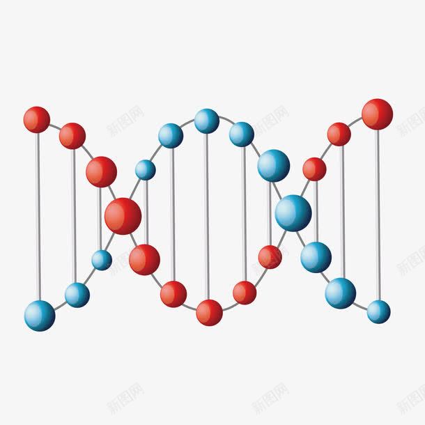 DNApng免抠素材_新图网 https://ixintu.com DNA双螺旋结构图片 人体 模型 遗传基因 链接