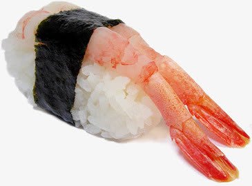 寿司png免抠素材_新图网 https://ixintu.com 寿司图片 手卷 海苔 甜虾手握寿司 虾