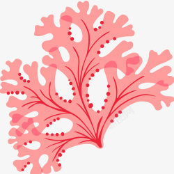 海藻叶子粉色水生海藻插画矢量图高清图片