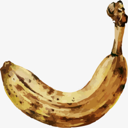 坏掉的水果腐烂的香蕉矢量图高清图片