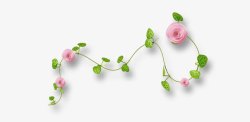 粉红色的花免抠图片蔷薇花高清图片