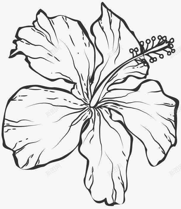 黑色花朵png免抠素材_新图网 https://ixintu.com 卡通 手绘 木槿花 水彩 花朵 花蕊 装饰 黑色