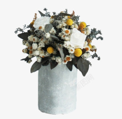 雏菊花瓶白色花瓶的清新室内植物高清图片