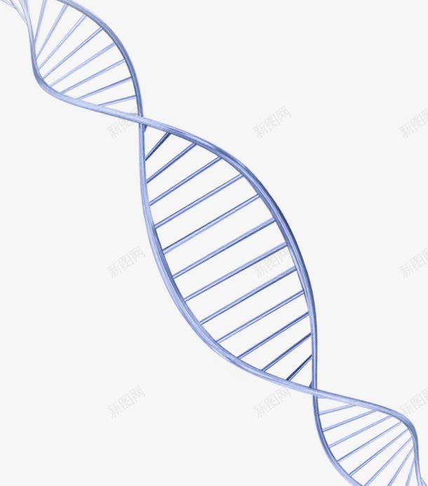 蓝色简约DNA装饰图案png免抠素材_新图网 https://ixintu.com DNA 免抠PNG 简约 蓝色 装饰图案
