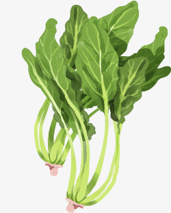 绿色菠菜卡通绿色蔬菜图高清图片