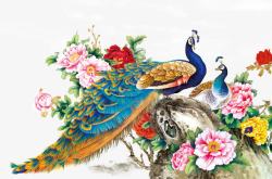 百花孔雀图素材