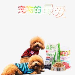 宠物最爱宠物店宣传单素材