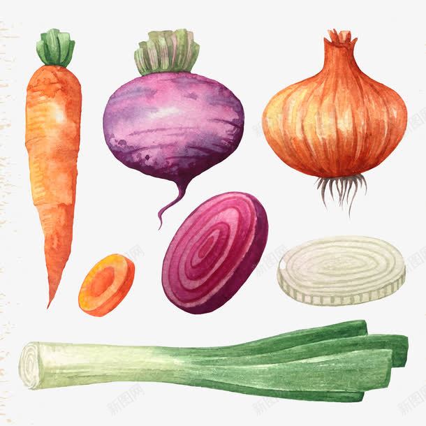 手绘蔬菜png免抠素材_新图网 https://ixintu.com 一捆 大葱 水果蔬菜 洋葱 胡萝卜 菜类图片 蔬菜