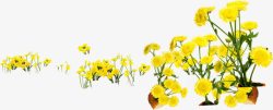 黄色唯美春天清明花朵素材