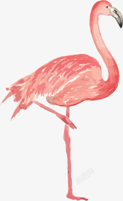 美式挂画卡通火烈鸟动物装饰图案高清图片