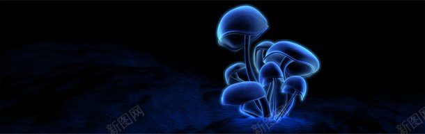 黑色背景jpg设计背景_新图网 https://ixintu.com 光效 大气 蓝色蘑菇 高档
