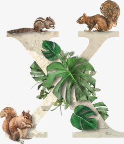 卡通现实结合动植物英文字母x高清图片