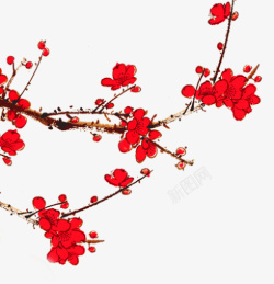 春季美丽红色杜鹃花素材