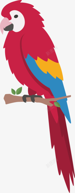 红色尖嘴可爱的鹦鹉矢量图高清图片