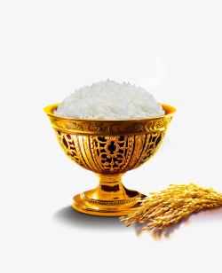 珍珠大米排版华丽大米高清图片
