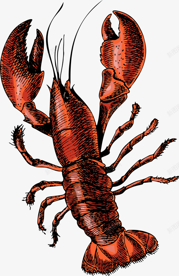 卡通手绘红色的小龙虾png免抠素材_新图网 https://ixintu.com 创意 动漫动画 卡通手绘 简约 红色的小龙虾 食物