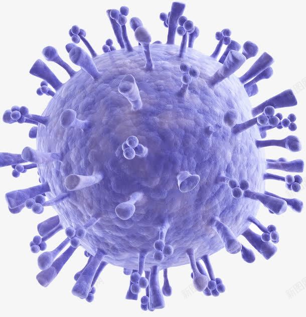 免疫系统病毒细菌png免抠素材_新图网 https://ixintu.com 免疫系统 抗体 病毒细菌 蛋白质