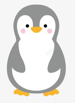 企鹅免扣PNG图卡通小企鹅高清图片