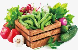 木篮子各种有机蔬菜高清图片