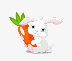 吃萝卜兔子小兔子吃胡萝卜高清图片