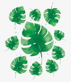 矢量水彩绘树叶爱心水彩绘夏季热带树叶卡片高清图片