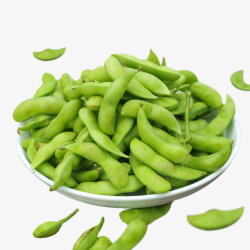 绿色豆子实物一盘新鲜绿色毛豆高清图片