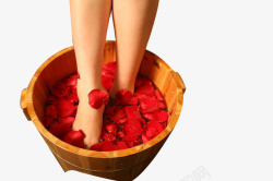 洗脚玫瑰花足浴图高清图片