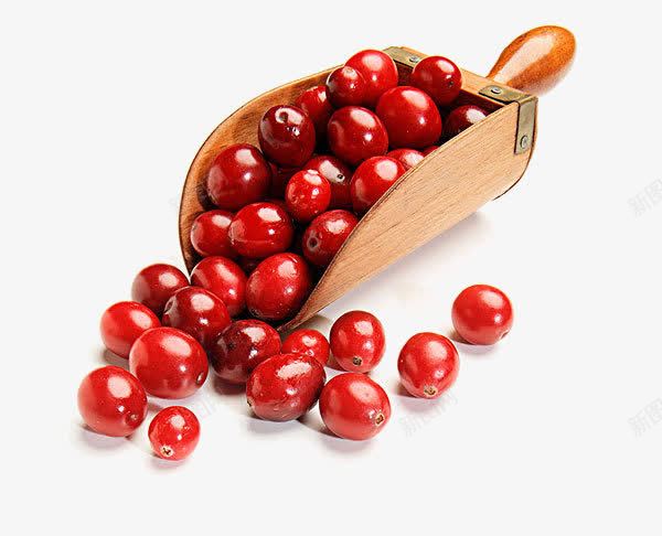 红色蔓越莓png免抠素材_新图网 https://ixintu.com 木铲 浆果 红色水果 蔓越橘 蔓越莓