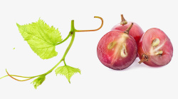 切开的葡萄水果葡萄葡萄枝叶高清图片
