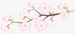 粉色春季美丽花枝素材
