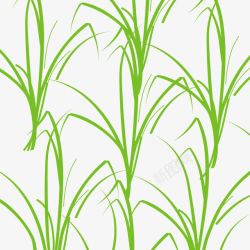 绿色小麦苗地小草图高清图片