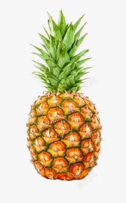 菠萝包装设计新鲜菠萝高清图片