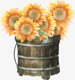 古典木桶一桶太阳花高清图片