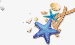 海星贝壳珍珠背景图片沙滩高清图片